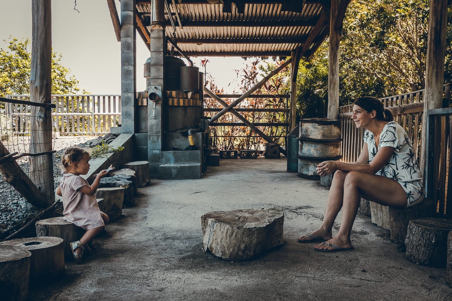 Activité en famille à l’île de la Réunion : visiter le domaine du café grillé