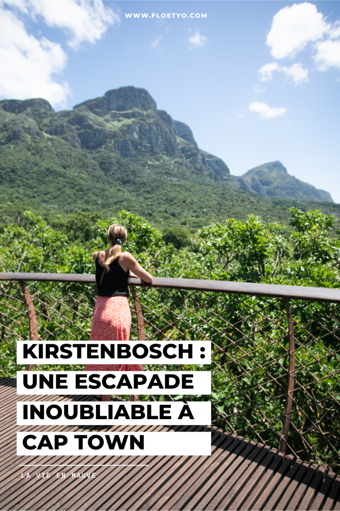 Découvrez la magie de Kirstenbosch Gardens : Une escapade en famille inoubliable à Cap Town 