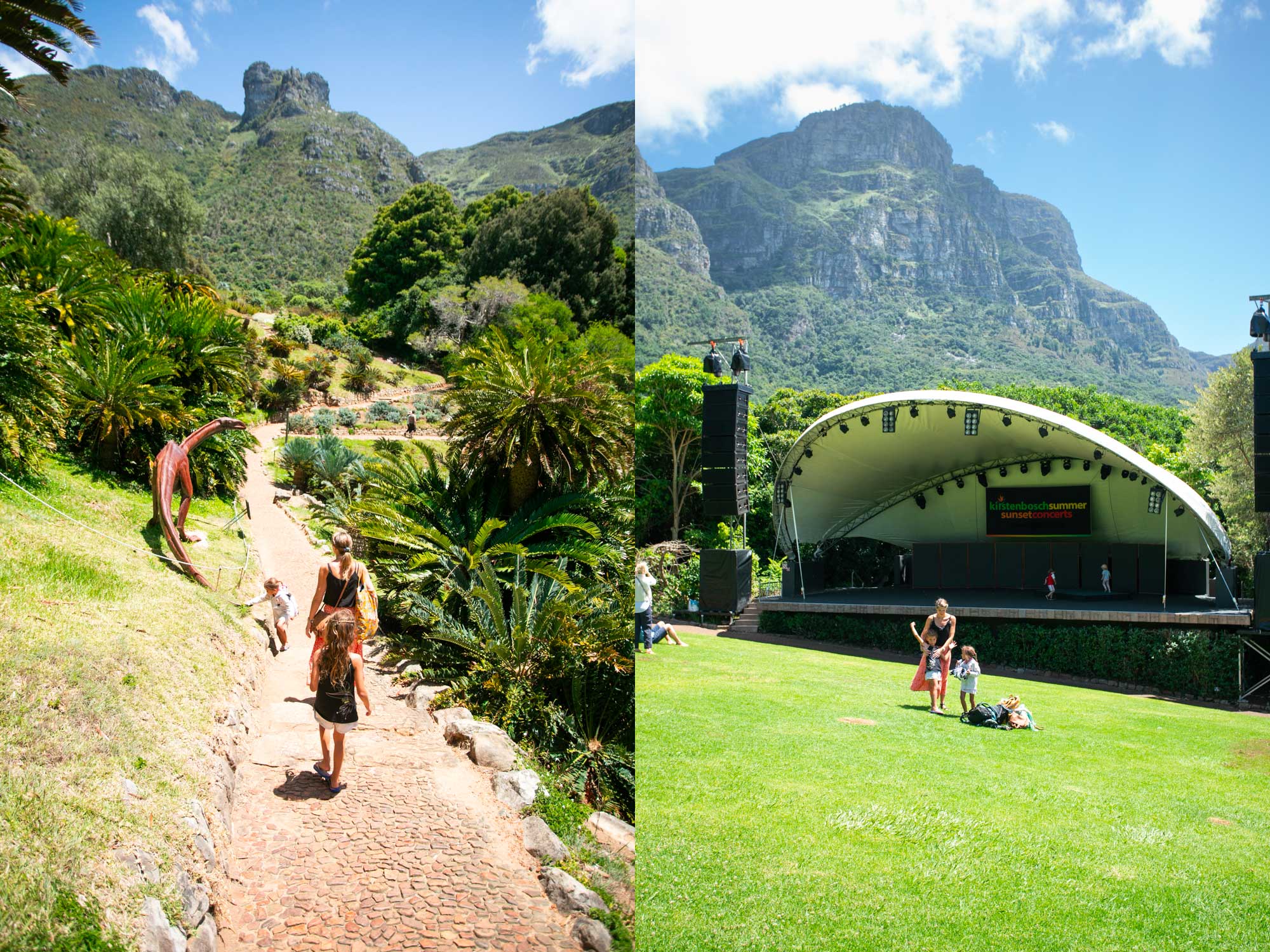 Découvrez la magie de Kirstenbosch Gardens : Une escapade en famille inoubliable à Cap Town